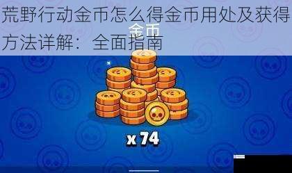 荒野行动金币怎么得金币用处及获得方法详解：全面指南