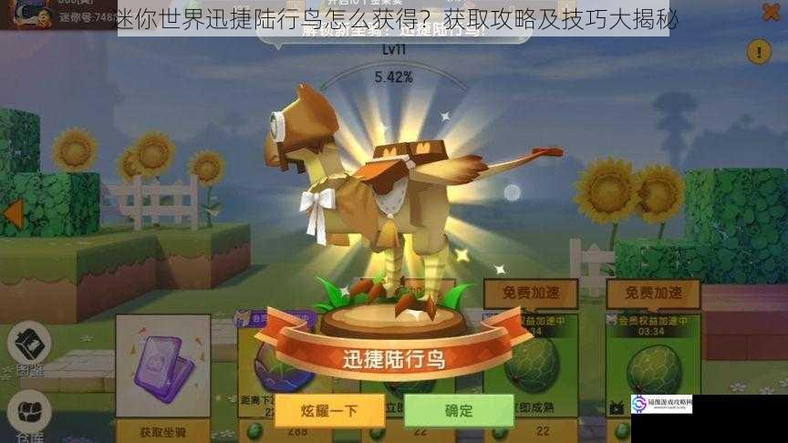 迷你世界迅捷陆行鸟怎么获得？获取攻略及技巧大揭秘