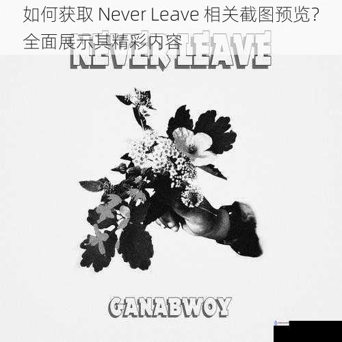 如何获取 Never Leave 相关截图预览？全面展示其精彩内容