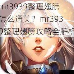 mr3939整理翅膀怎么通关？mr3939整理翅膀攻略全解析