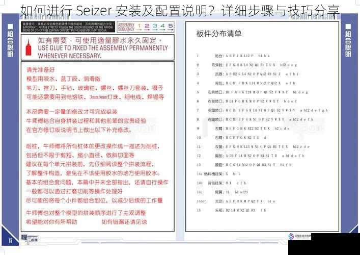 如何进行 Seizer 安装及配置说明？详细步骤与技巧分享