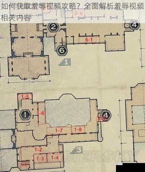 如何获取羞辱视频攻略？全面解析羞辱视频相关内容