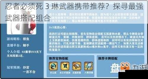 忍者必须死 3 琳武器携带推荐？探寻最强武器搭配组合