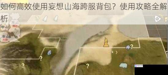 如何高效使用妄想山海跨服背包？使用攻略全解析