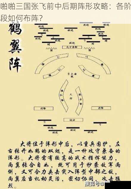 啪啪三国张飞前中后期阵形攻略：各阶段如何布阵？