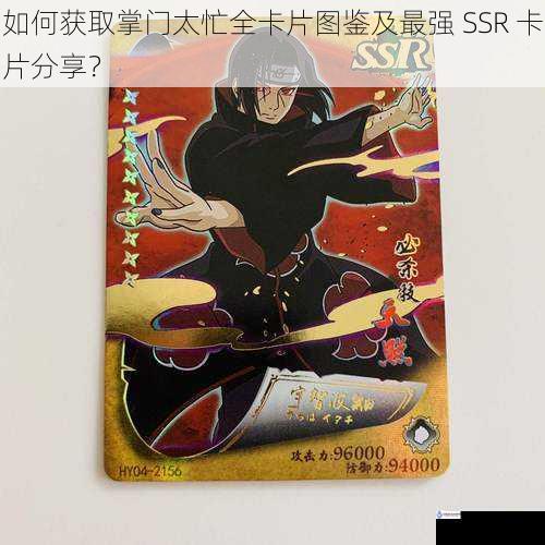 如何获取掌门太忙全卡片图鉴及最强 SSR 卡片分享？