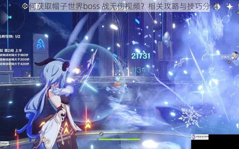 如何获取帽子世界boss 战无伤视频？相关攻略与技巧分享