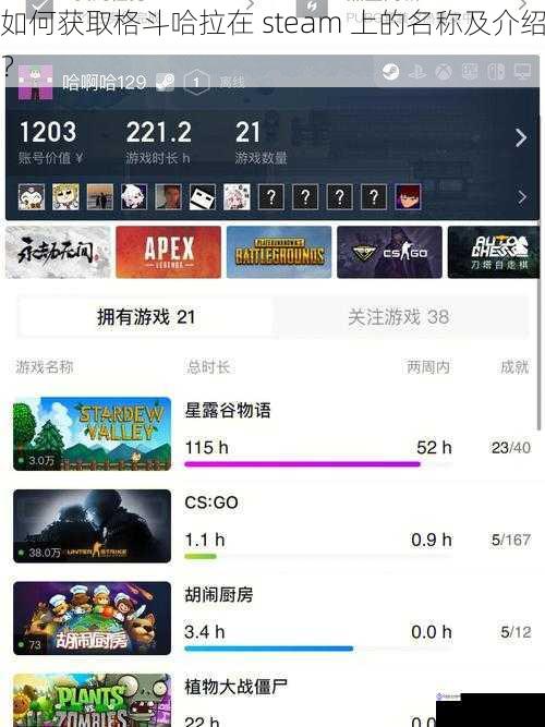 如何获取格斗哈拉在 steam 上的名称及介绍？