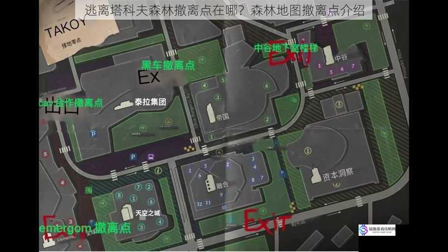 逃离塔科夫森林撤离点在哪？森林地图撤离点介绍