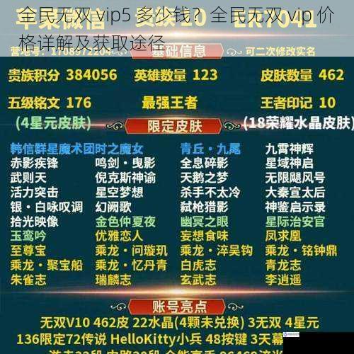 全民无双 vip5 多少钱？全民无双 vip 价格详解及获取途径