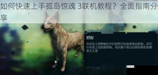 如何快速上手孤岛惊魂 3联机教程？全面指南分享