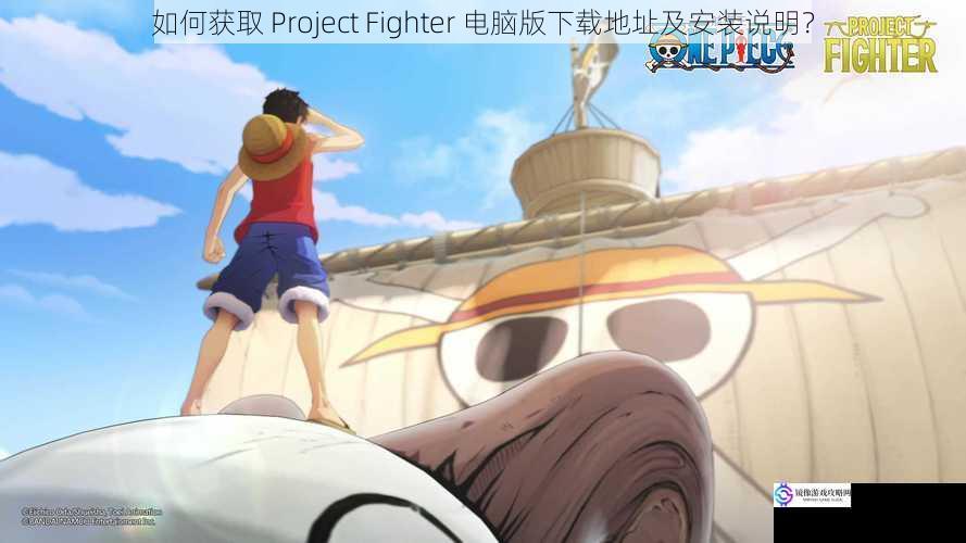 如何获取 Project Fighter 电脑版下载地址及安装说明？