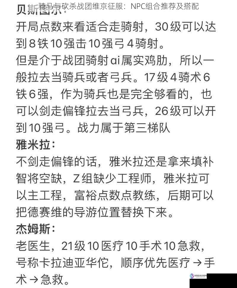 骑马与砍杀战团维京征服：NPC组合推荐及搭配