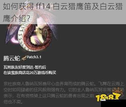 如何获得 ff14 白云猎鹰笛及白云猎鹰介绍？