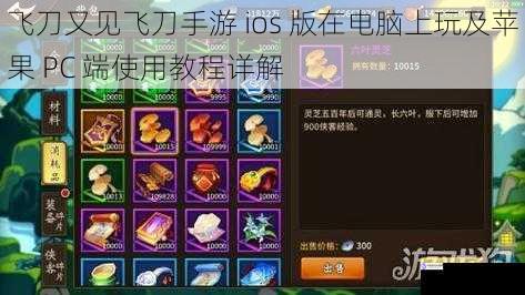 飞刀又见飞刀手游 ios 版在电脑上玩及苹果 PC 端使用教程详解