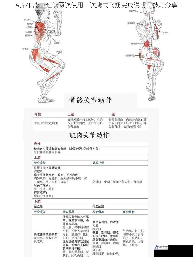 刺客信条 3连续两次使用三次鹰式飞翔完成说明：技巧分享