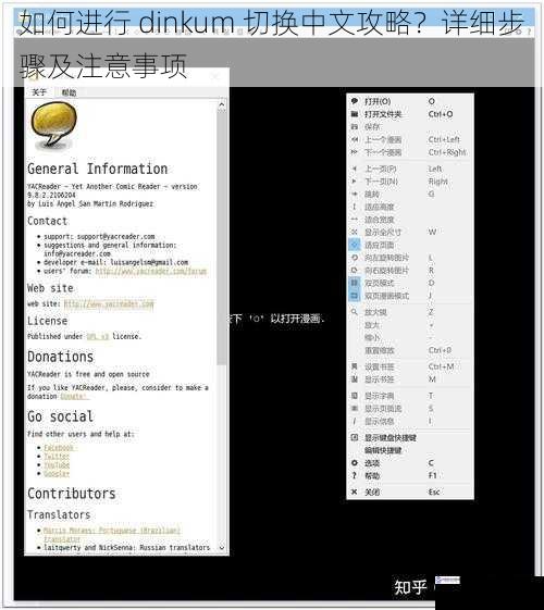 如何进行 dinkum 切换中文攻略？详细步骤及注意事项