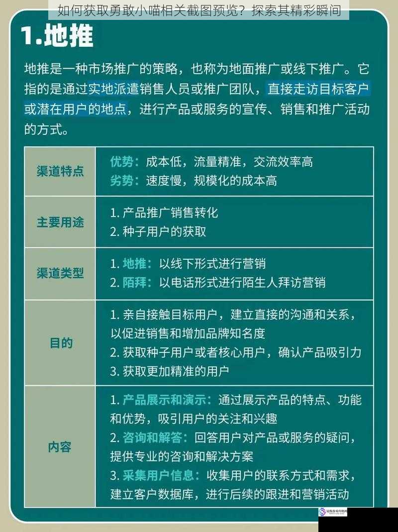 如何获取勇敢小喵相关截图预览？探索其精彩瞬间