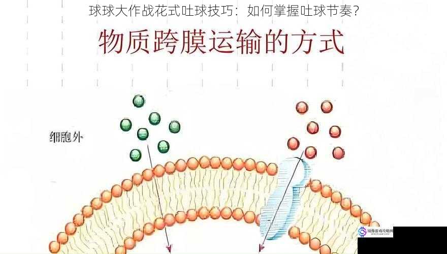 球球大作战花式吐球技巧：如何掌握吐球节奏？