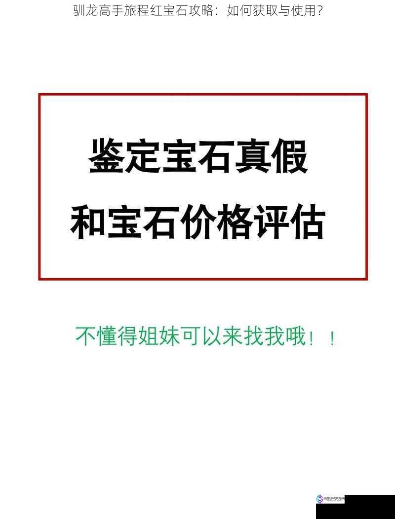 驯龙高手旅程红宝石攻略：如何获取与使用？