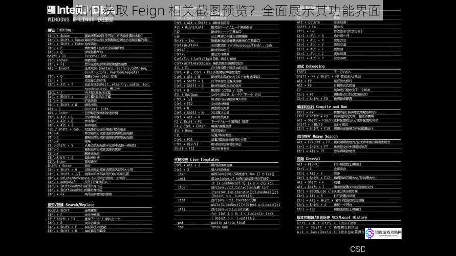 如何获取 Feign 相关截图预览？全面展示其功能界面