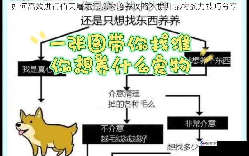 如何高效进行倚天屠龙记宠物培养攻略？提升宠物战力技巧分享