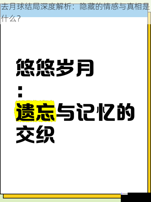 记忆与遗忘的交织