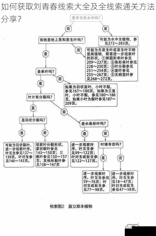 如何获取刘青春线索大全及全线索通关方法分享？