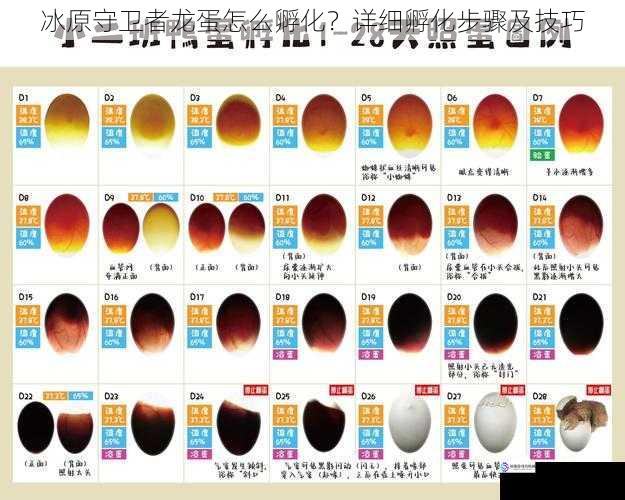 冰原守卫者龙蛋怎么孵化？详细孵化步骤及技巧