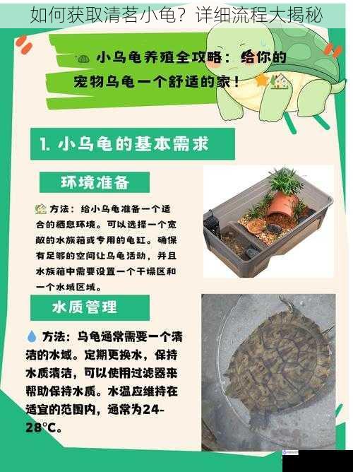 如何获取清茗小龟？详细流程大揭秘