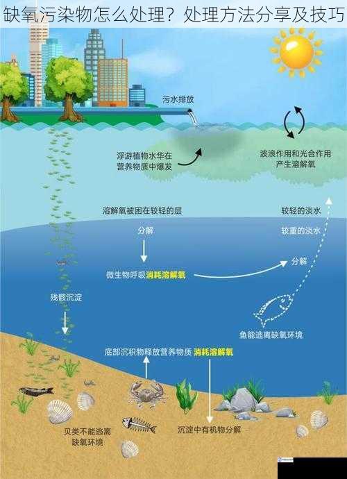 缺氧污染物怎么处理？处理方法分享及技巧