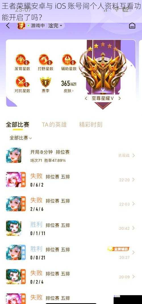 王者荣耀安卓与 iOS 账号间个人资料互看功能开启了吗？