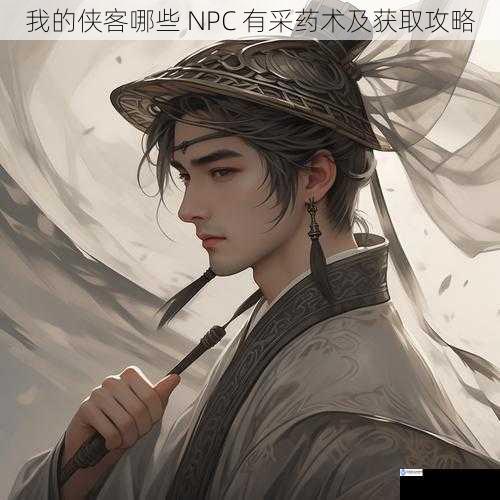 我的侠客哪些 NPC 有采药术及获取攻略