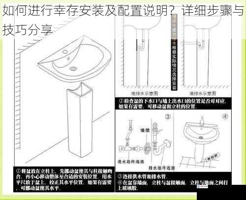 如何进行幸存安装及配置说明？详细步骤与技巧分享