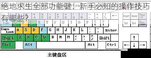 绝地求生全部功能键：新手必知的操作技巧有哪些？