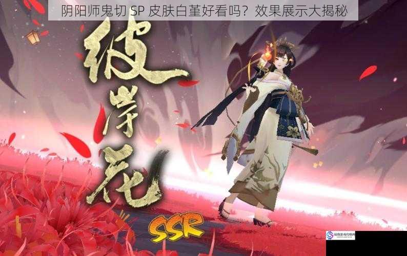 阴阳师鬼切 SP 皮肤白堇好看吗？效果展示大揭秘