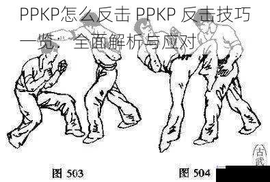 PPKP怎么反击 PPKP 反击技巧一览：全面解析与应对