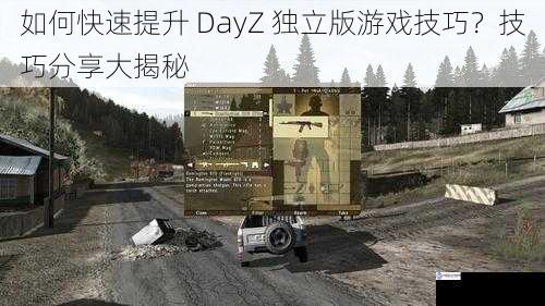 如何快速提升 DayZ 独立版游戏技巧？技巧分享大揭秘