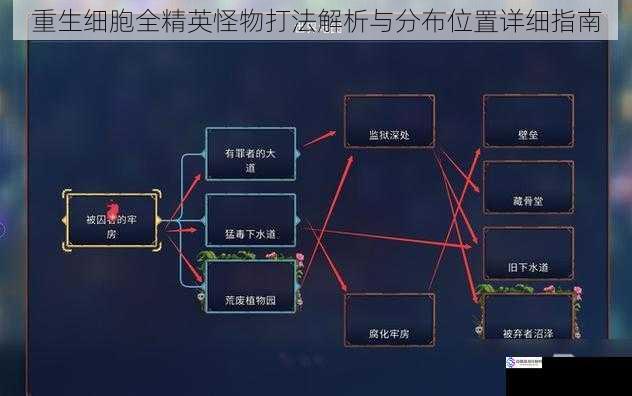 重生细胞全精英怪物打法解析与分布位置详细指南