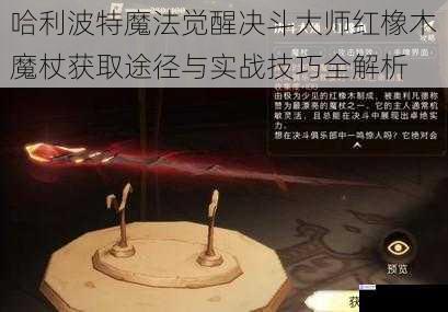 哈利波特魔法觉醒决斗大师红橡木魔杖获取途径与实战技巧全解析