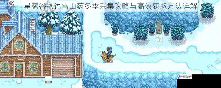 星露谷物语雪山药冬季采集攻略与高效获取方法详解