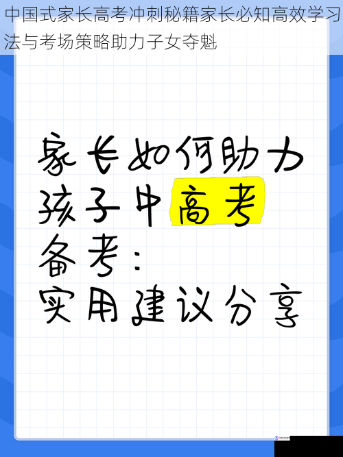 中国式家长高考冲刺秘籍家长必知高效学习法与考场策略助力子女夺魁
