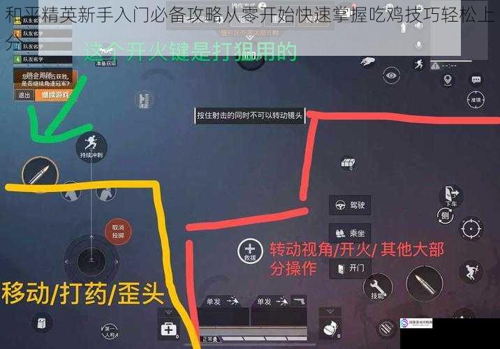 和平精英新手入门必备攻略从零开始快速掌握吃鸡技巧轻松上分