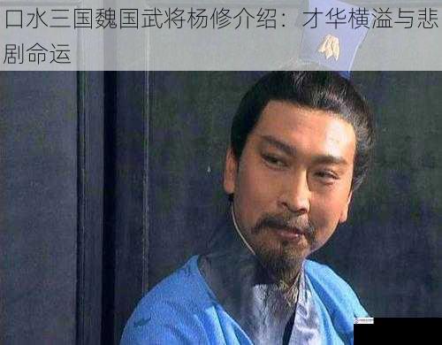 口水三国魏国武将杨修介绍：才华横溢与悲剧命运