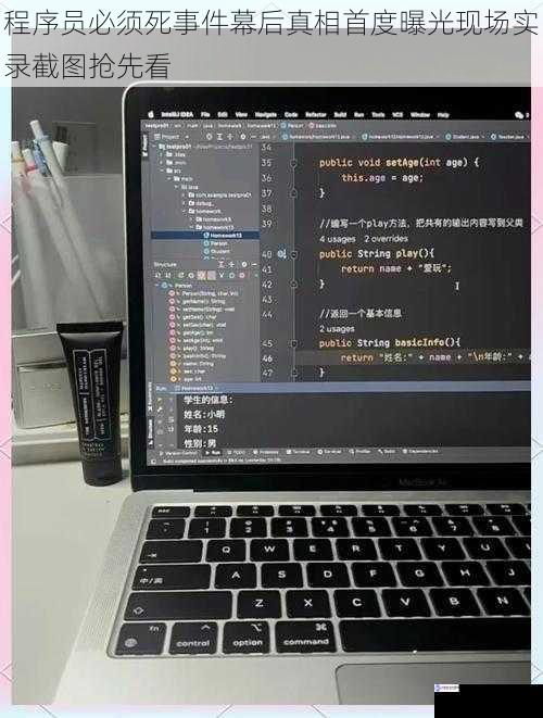 程序员必须死事件幕后真相首度曝光现场实录截图抢先看