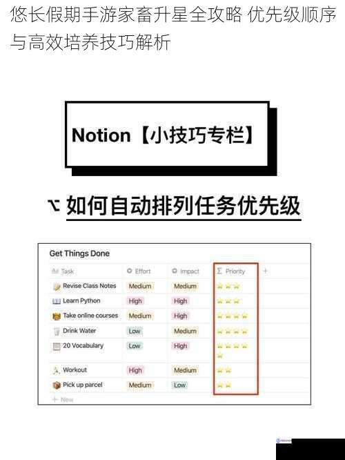 悠长假期手游家畜升星全攻略 优先级顺序与高效培养技巧解析