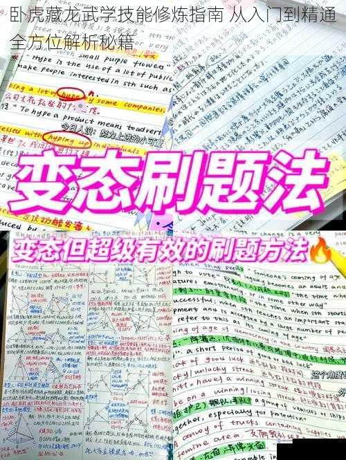 卧虎藏龙武学技能修炼指南 从入门到精通全方位解析秘籍